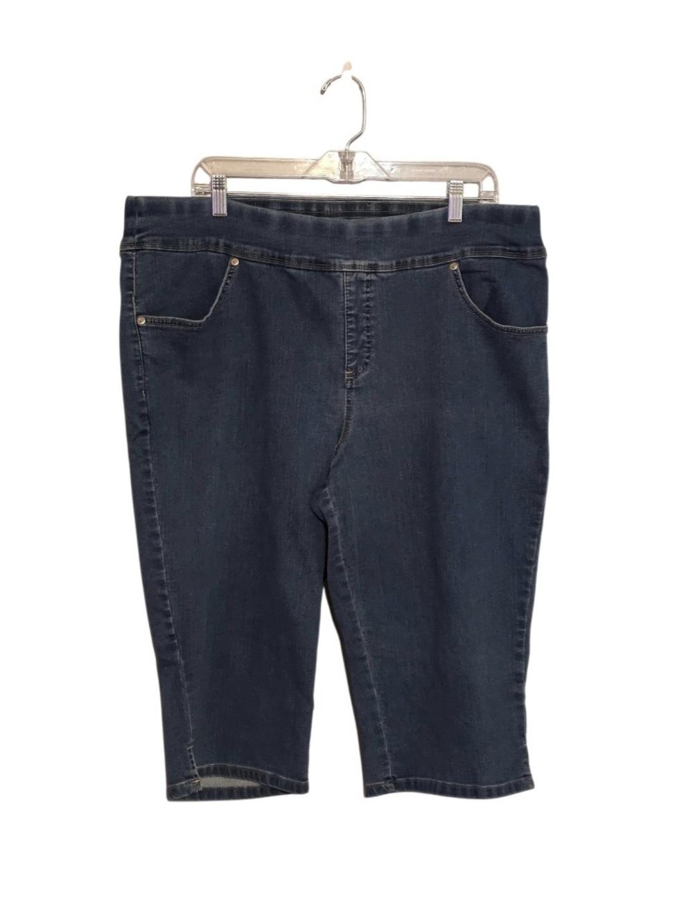 Women's Terra & Sky Pull-On Capris Plus Size 1X 16W/18W
